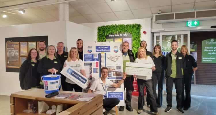 Build it Together challenge